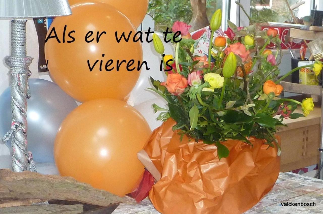 زيست Bed And Breakfast Valckenbosch المظهر الخارجي الصورة